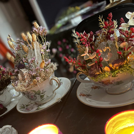 12/19/25 - Tarot & Terrariums - Winter Solstice