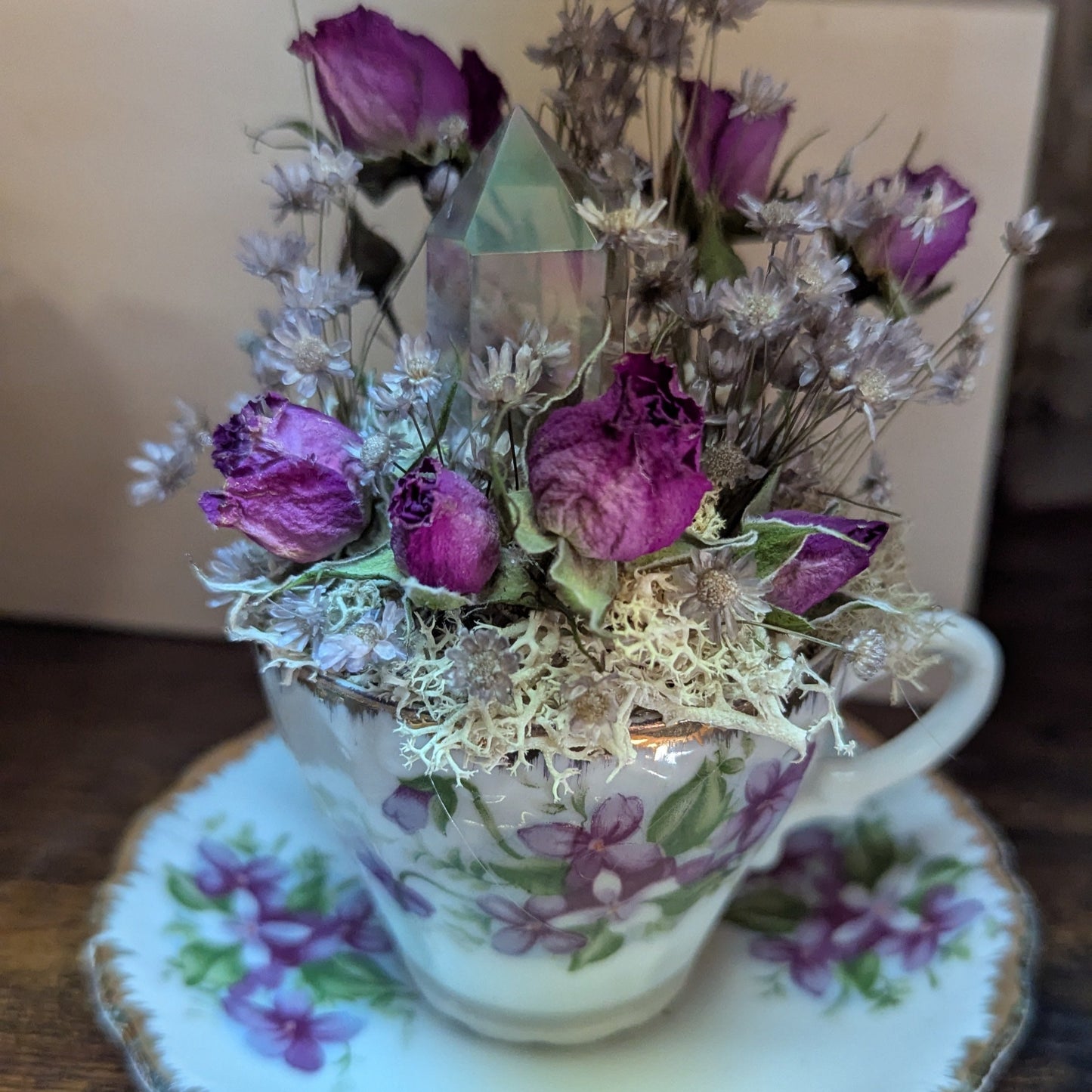 12/19/25 - Tarot & Terrariums - Winter Solstice