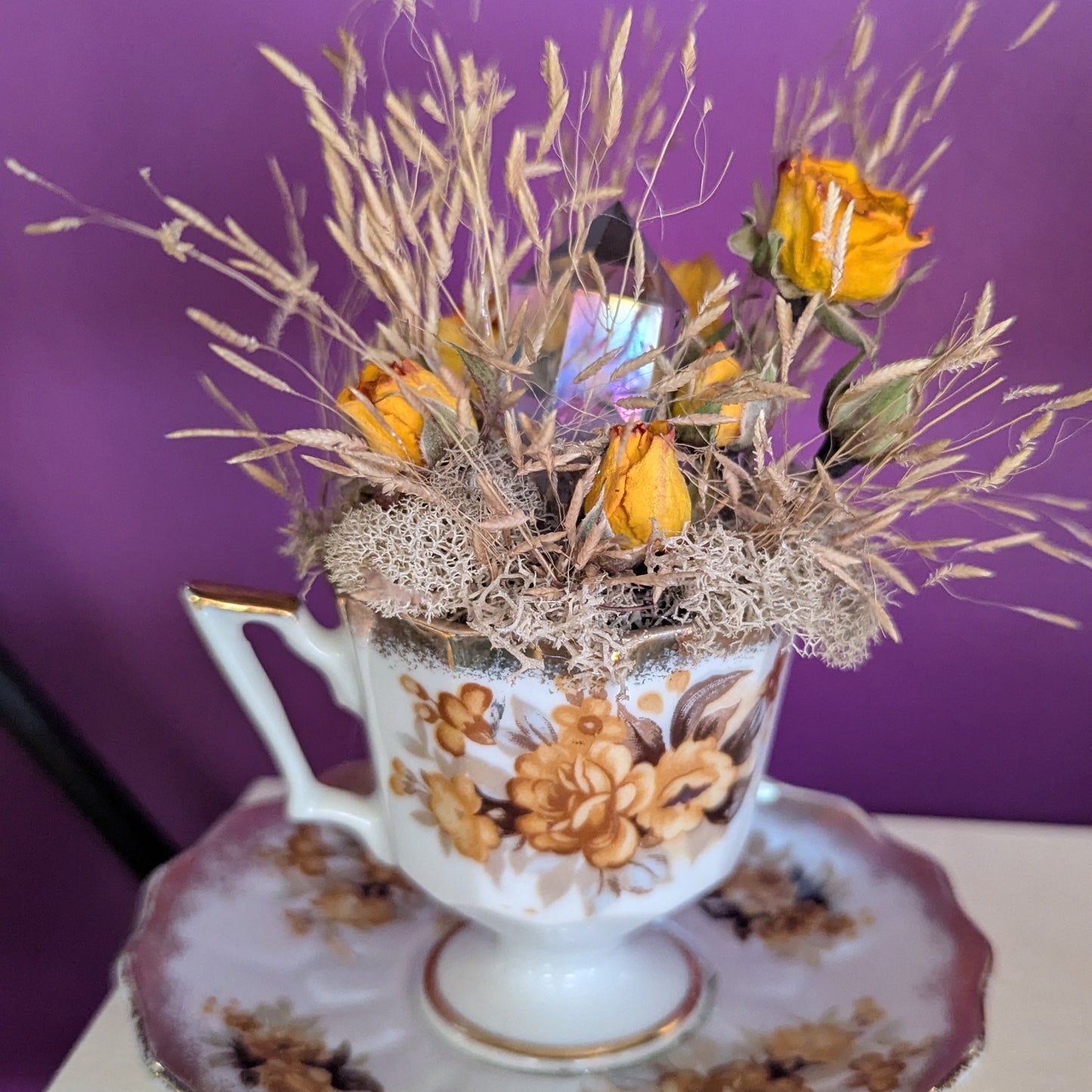 12/19/25 - Tarot & Terrariums - Winter Solstice