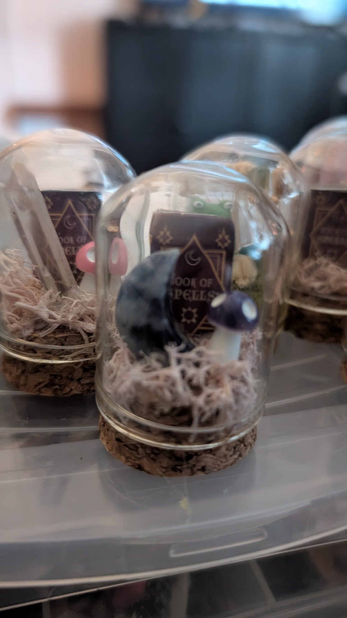 7/16/26  Mushroom Mini Terrariums Workshop