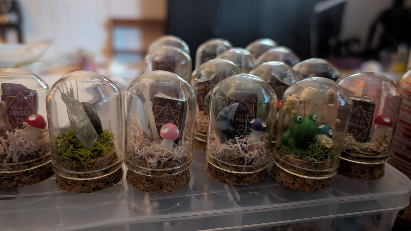 7/16/26  Mushroom Mini Terrariums Workshop