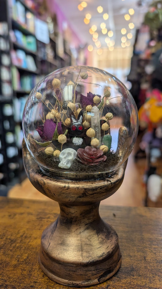 11/29/26  Mothman Terrarium Workshop