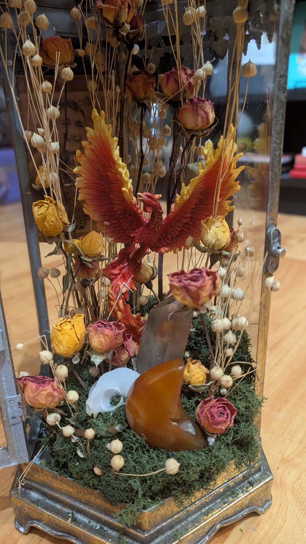 9/20/26 Phoenix Tarot and Terrariums Workshop