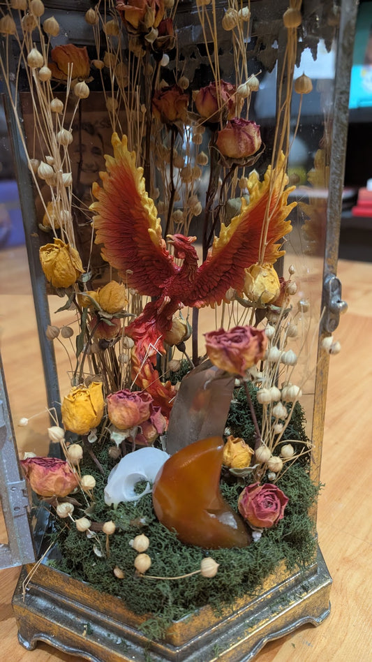 9/20/26 Phoenix Tarot and Terrariums Workshop