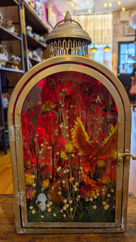 7/25/26 Phoenix Tarot and Terrariums Workshop
